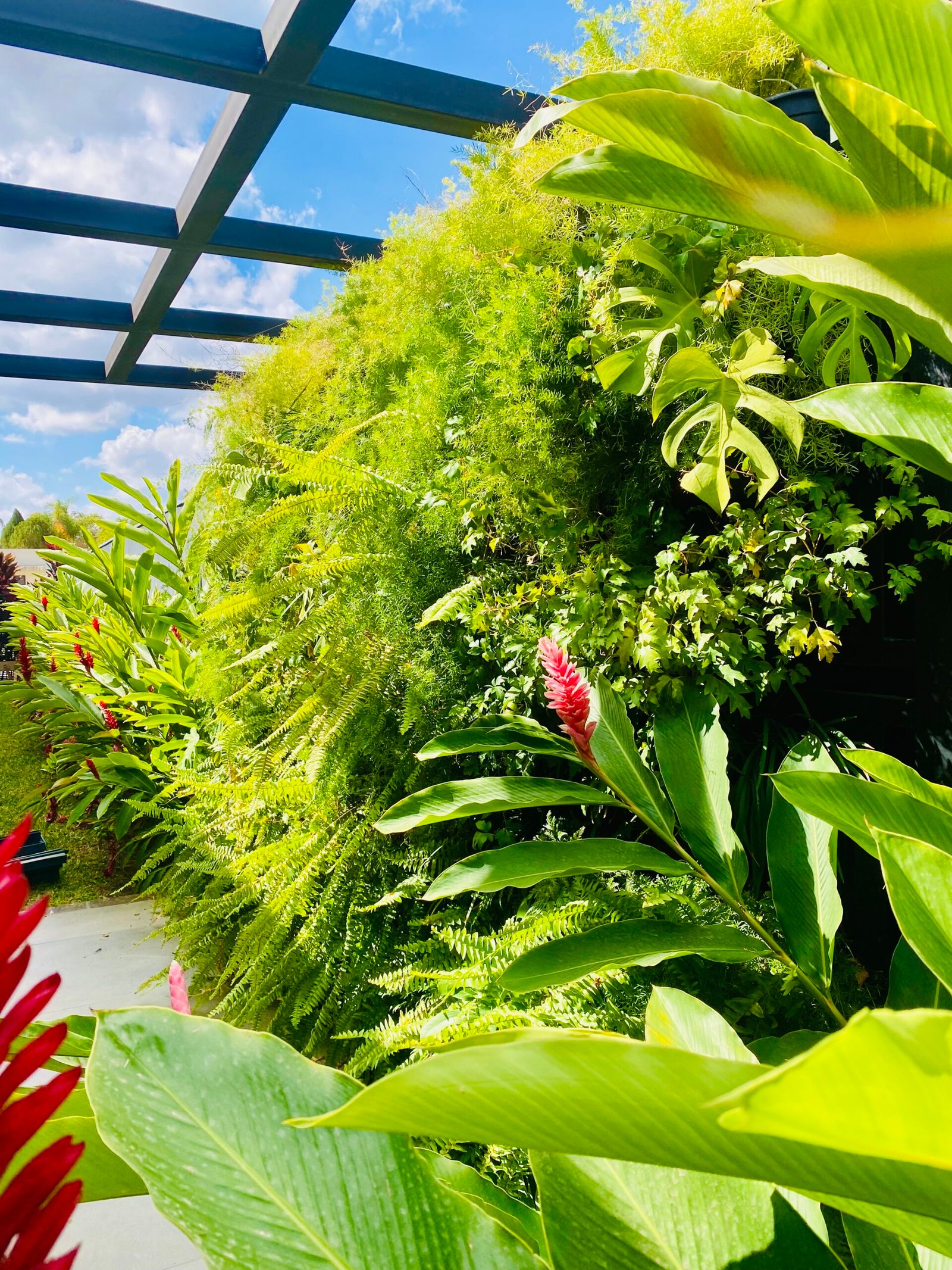 Jardim Vertical