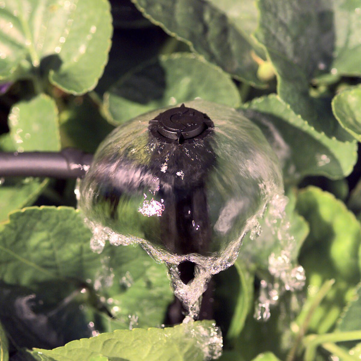 Gotejador Mini Bubbler Spike 4 mm 360° Ajustável - Asten - Imagem 3